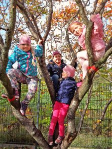 Kinder auf Baum